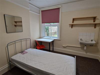 Picture 5